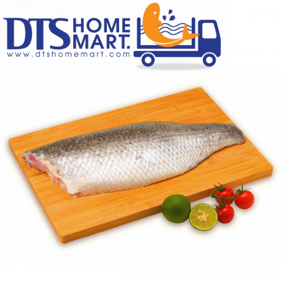 Barramundi Fish Fillet 800-1000g 金目鲈鱼片 Barramundi Fish Fillet 800-1000g 金目鲈鱼片