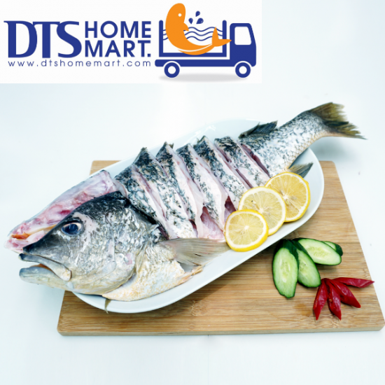 Golden Snapper Fish Cut Pcs (One Whole Fish @ 1.8kg-2kg)