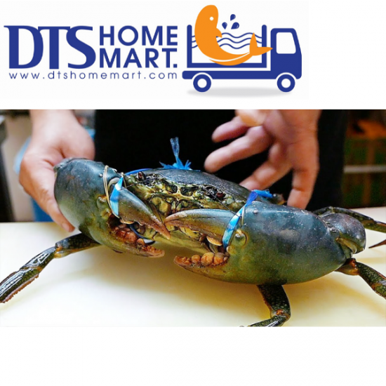 Live Mud Crab (Big - 2pcs/set) 活螃蟹 (大) Live Mud Crab (Big - 2pcs/set) 活螃蟹 (大)