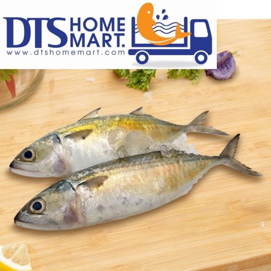 Mackerel Fish/ Ikan Kembung 1kg (13-15pcs) Mackerel Fish/ Ikan Kembung 1kg (13-15pcs)
