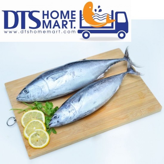 Skipjack Tuna Fish / Ikan Tongkol 1kg (2pcs) Skipjack Tuna Fish / Ikan Tongkol 1kg (2pcs)