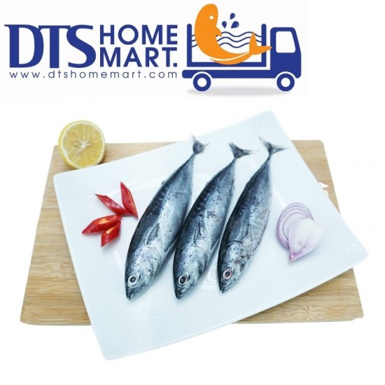 Skipjack Tuna Fish / Ikan Tongkol 1kg (4-5pcs) Skipjack Tuna Fish / Ikan Tongkol 1kg (4-5pcs)