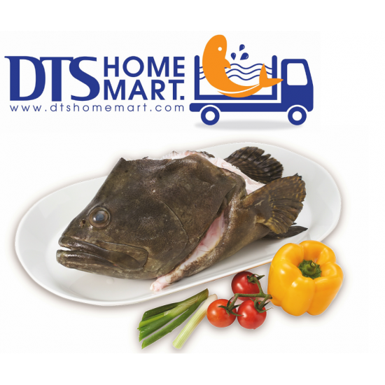 Giant Tiger Grouper Fish Head 1.1kg-1.2kg 珍珠龙趸鱼头 Giant Tiger Grouper Fish Head 1.1kg-1.2kg 珍珠龙趸鱼头