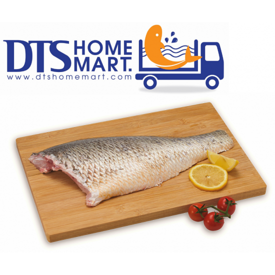 Golden Snapper Fish Fillet 500g 红枣鱼片 Golden Snapper Fish Fillet 500g 红枣鱼片