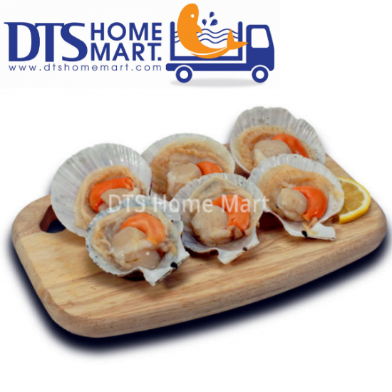 Half Shell Russia Scallop 9-10pcs 俄罗斯半壳带子 1kg Half Shell Russia Scallop 9-10pcs 俄罗斯半壳带子 1kg