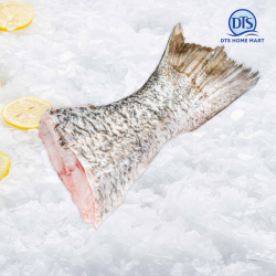 Barramundi Tail Cut 金目鲈鱼尾 600gm/pc Barramundi Tail Cut 金目鲈鱼尾 600gm/pc