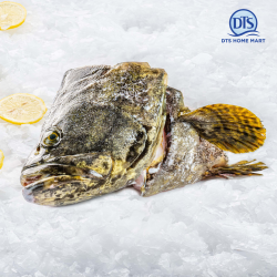 Giant Tiger Grouper Fish Head 1.1kg-1.2kg 珍珠龙趸鱼头 Giant Tiger Grouper Fish Head 1.1kg-1.2kg 珍珠龙趸鱼头
