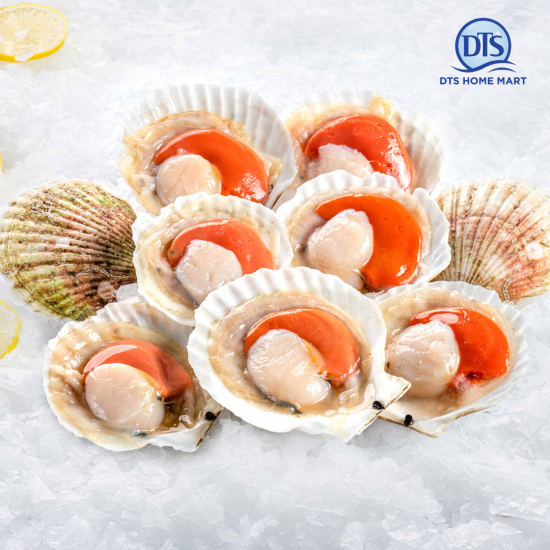 Half Shell Russia Scallop 9-10pcs 俄罗斯半壳带子 1kg Half Shell Russia Scallop 9-10pcs 俄罗斯半壳带子 1kg