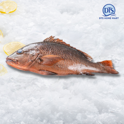 Mangrove Jack Whole Fish Clean 800-1000g Mangrove Jack Whole Fish Clean 800-1000g