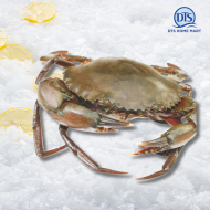 Live Mud Crab (Medium - 2pcs/set) 活螃蟹 （中）*KL & Selangor only