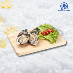 Live Ireland Oyster 90-110gm/pcs (with shell) *KL & Selangor only Live Ireland Oyster 90-110gm/pcs (with shell) *KL & Selangor only