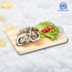 Live Ireland Oyster 110-125gm/pcs (with shell) *KL & Selangor only Live Ireland Oyster 110-125gm/pcs (with shell) *KL & Selangor only