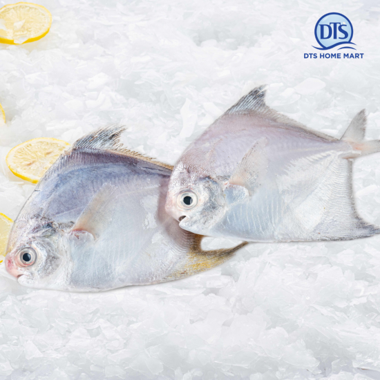 Small White Pomfret 1kg (40-50pcs +/-) Small White Pomfret 1kg (40-50pcs +/-)