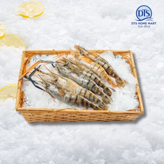 Fresh Water Prawn U10 冷冻生虾 1kg (8-10pcs) Fresh Water Prawn U10 冷冻生虾 1kg (8-10pcs)