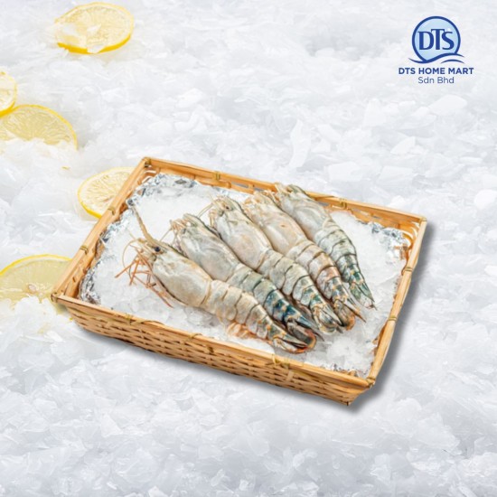 Fresh Water Prawn U5 冷冻生虾 1kg (4-5pcs) Fresh Water Prawn U5 冷冻生虾 1kg (4-5pcs)