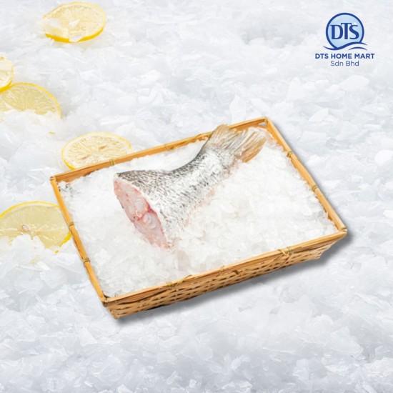 Golden Snapper Tail Cut 红枣鱼尾 600gm/pc Golden Snapper Tail Cut 红枣鱼尾 600gm/pc