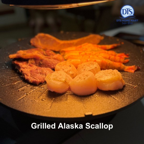 Alaska Scallop 11-15lbs (1kg) 阿拉斯加带子 Alaska Scallop 11-15lbs (1kg) 阿拉斯加带子