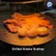 Alaska Scallop 11-15lbs (1kg) 阿拉斯加带子 Alaska Scallop 11-15lbs (1kg) 阿拉斯加带子