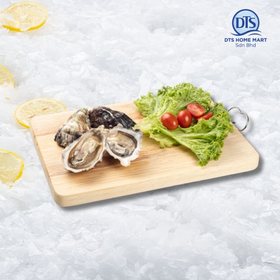Live Ireland Oyster 50-70gm/pcs (with shell) *KL & Selangor only Live Ireland Oyster 50-70gm/pcs (with shell) *KL & Selangor only