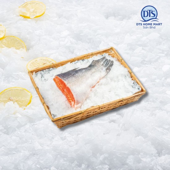 Salmon Norway Tail Cut 三文鱼尾 600gm/pc Salmon Norway Tail Cut 三文鱼尾 600gm/pc