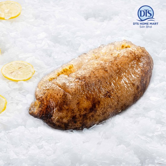 Sea Cucumber L Size (500-700g) 猪婆参 (大) Sea Cucumber L Size (500-700g) 猪婆参 (大)