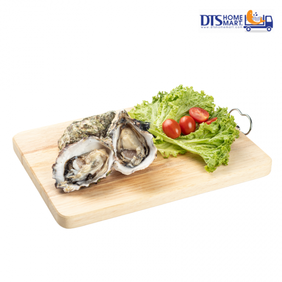 Live Ireland Oyster 110-125gm/pcs (with shell) *KL & Selangor only