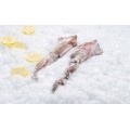 Squid & Cuttlefish