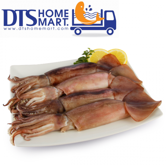 Hokkaido Squid 800g 北海道苏东 Hokkaido Squid 800g 北海道苏东