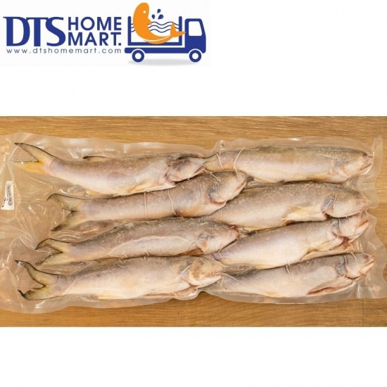 Fourfinger Threadfin / Senangin / Ma Yao /上午鱼 1kg (8pcs) Fourfinger Threadfin / Senangin / Ma Yao /上午鱼 1kg (8pcs)