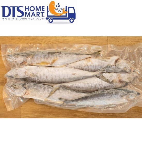 Small Spanish Mackerel / Ikan Tenggiri Kecil 1kg (7-8pcs) Small Spanish Mackerel / Ikan Tenggiri Kecil 1kg (7-8pcs)