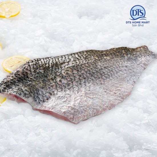 Barramundi Fish Fillet 800-900g 金目鲈鱼片 Barramundi Fish Fillet 800-900g 金目鲈鱼片