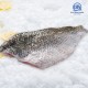 Barramundi Fish Fillet 800-900g 金目鲈鱼片 Barramundi Fish Fillet 800-900g 金目鲈鱼片