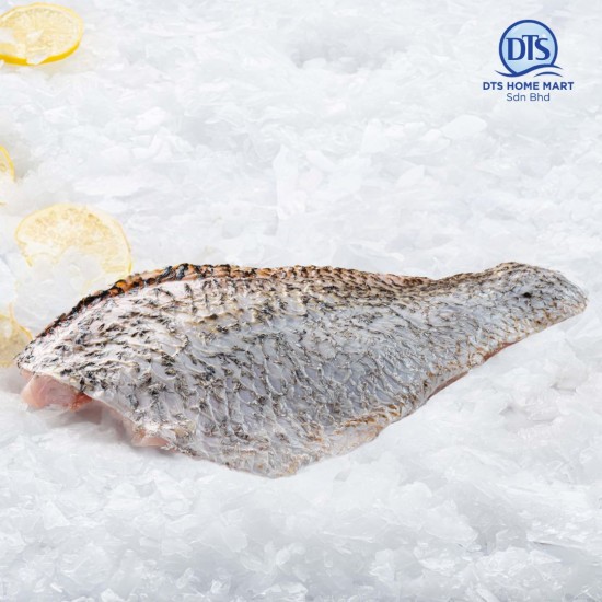 Golden Snapper Fish Fillet 500g 红枣鱼片 Golden Snapper Fish Fillet 500g 红枣鱼片
