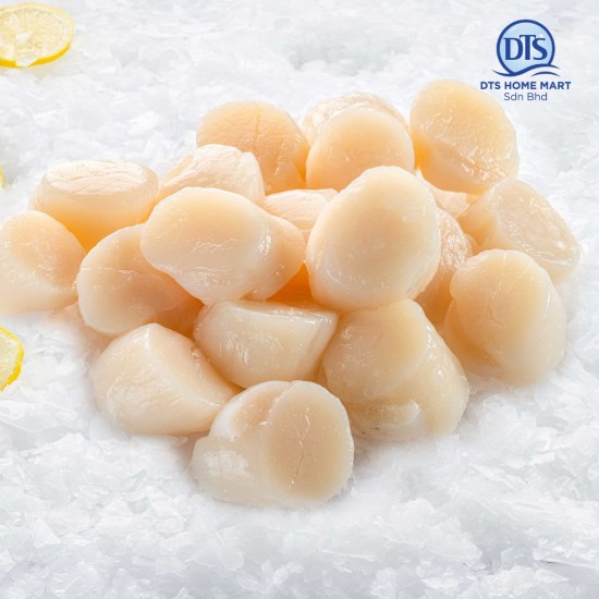 Alaska Scallop 11-15lbs (1kg) 阿拉斯加带子 Alaska Scallop 11-15lbs (1kg) 阿拉斯加带子