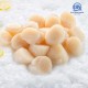 Alaska Scallop 11-15lbs (1kg) 阿拉斯加带子 Alaska Scallop 11-15lbs (1kg) 阿拉斯加带子