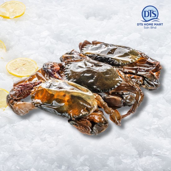 Soft Shell Crab 9-10pcs 软壳蟹 1kg Soft Shell Crab 9-10pcs 软壳蟹 1kg