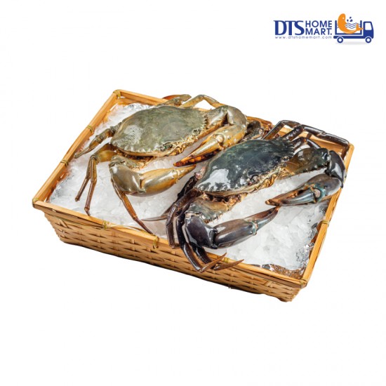 Live Mud Crab (Big - 2pcs/set) 活螃蟹 (大）*KL & Selangor only