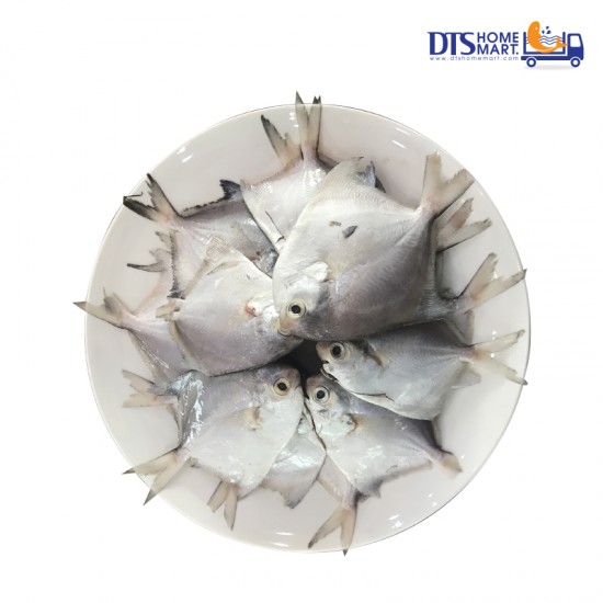 Small White Pomfret 1kg (40-50pcs +/-)