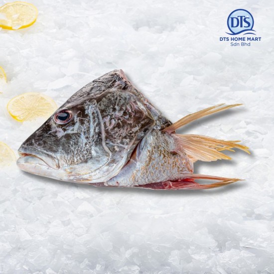 Golden Snapper Head 红枣鱼头 1kg Golden Snapper Head 红枣鱼头 1kg