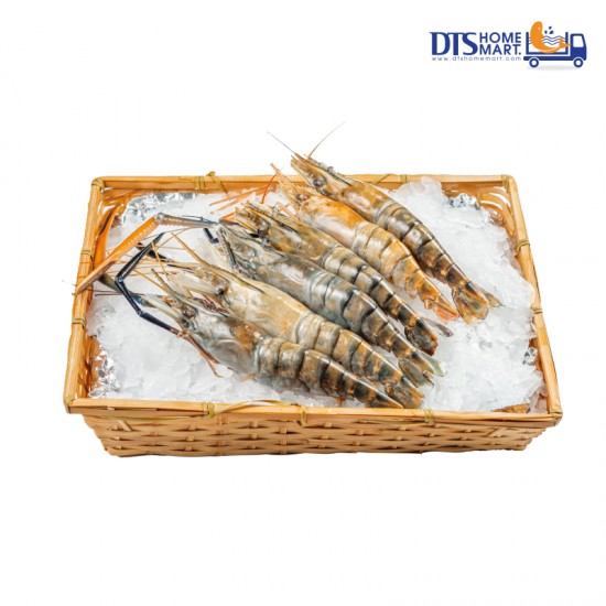 Fresh Water Prawn U10 冷冻生虾 1kg (8-10pcs)