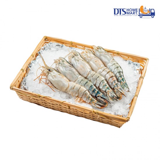 Fresh Water Prawn U5 冷冻生虾 1kg (4-5pcs)